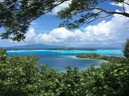 Téléchargez les photos : Une belle vue sur les buissons verts et les arbres sous un ciel nuageux à Bora Bora, Polynésie française - en image libre de droit