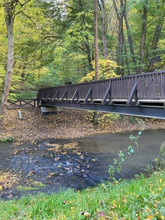 Téléchargez les photos : Un petit pont brun sur un ruisseau entouré d'arbres verts et la nature du parc national polonais Ojcow - en image libre de droit