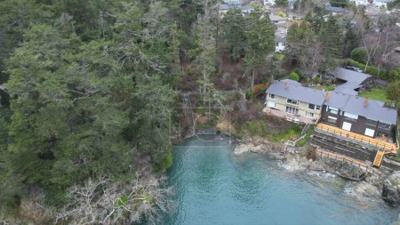 Téléchargez les photos : Une vue aérienne des maisons et des grands épinettes vertes sur le bord du lac - en image libre de droit
