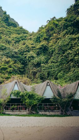 Téléchargez les photos : Un plan vertical des cabanes sur le rivage avec des arbres verts luxuriants en arrière-plan - en image libre de droit