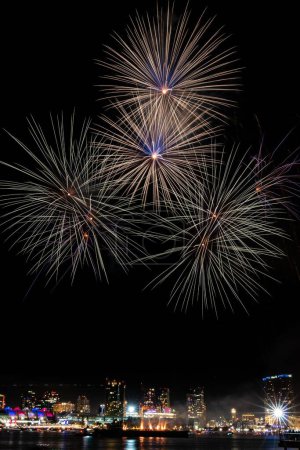 Foto de Hermosos fuegos artificiales de colores brillando en el oscuro cielo nocturno el 4 de julio - Imagen libre de derechos