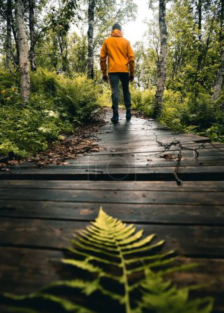 Foto de Retrospectiva vertical de un macho con capucha amarilla, caminando solo por un estrecho camino de madera en un bosque - Imagen libre de derechos