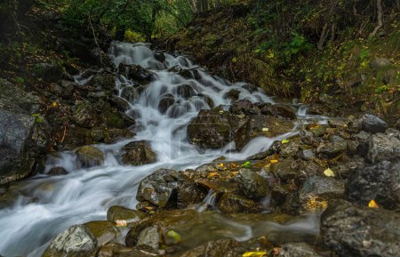 Téléchargez les photos : Un beau cliché d'une rivière rocheuse qui coule dans la péninsule de Kenai en Alaska - en image libre de droit