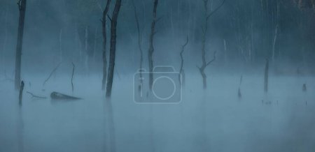 Foto de Un paisaje sureal con árboles muertos en el lago turquesa. Los troncos y ramas se reflejan en el agua tranquila y tranquila del lago - Imagen libre de derechos