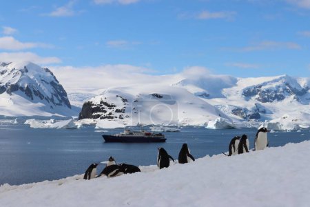 Foto de Un grupo de lindos pingüinos subiendo una colina en la Antártida con un mar y montañas nevadas detrás de ellos - Imagen libre de derechos