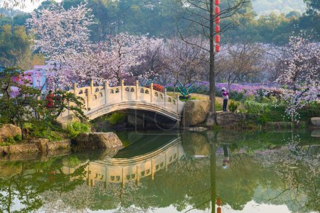 Photo for East Lake Cherry Blossom Park, also called Wuhan Moshan Cherry Blossom Park, is a park in the East Lake area of Wuchang District, Wuhan City - Royalty Free Image