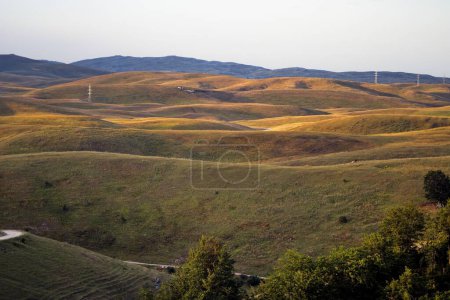 Téléchargez les photos : L'incroyable beauté du plateau ondulé de Morine en Bosnie-Herzégovine - en image libre de droit