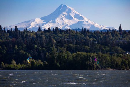 Photo for The kite surfers on the Columbia River with Mount Hood in the distance. Oregon, USA. - Royalty Free Image