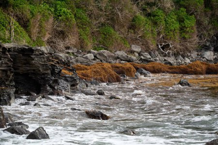 Foto de Una hermosa toma de agua de mar azul cerca de una costa rocosa con acantilados verdes - Imagen libre de derechos