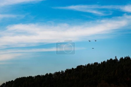 Téléchargez les photos : Une belle vue de trois oiseaux volant dans un ciel nuageux brillant, formant un visage fronçant les sourcils sur une forêt - en image libre de droit