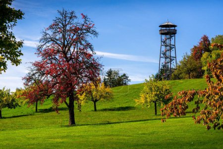 Foto de Una torre de observación en verde colina cubierta de hierba rodeada de coloridos árboles bajo el cielo azul en Lossburg, Alemania - Imagen libre de derechos