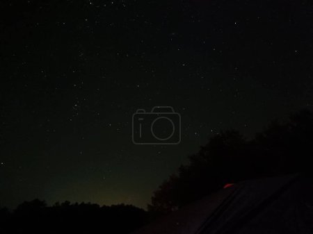 Foto de Una silueta de árboles en una noche estrellada - Imagen libre de derechos