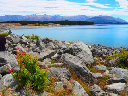 Téléchargez les photos : Une vue naturelle sur le lac rocheux Pukaki en Nouvelle-Zélande - en image libre de droit