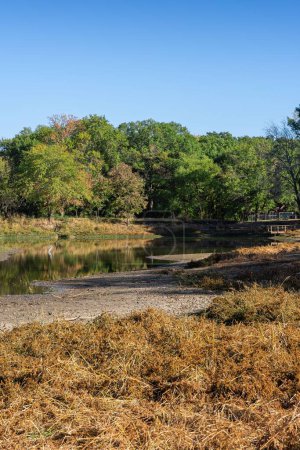 Téléchargez les photos : Plan vertical d'un petit ruisseau dans une forêt luxuriante d'automne en Oklahoma - en image libre de droit