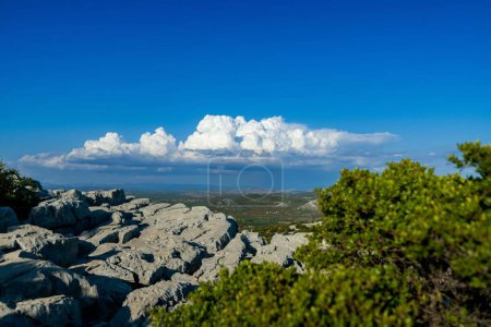 Téléchargez les photos : Un paysage de montagnes Velebit en Croatie avec des arbres et au bord de la mer à l'horizon - en image libre de droit