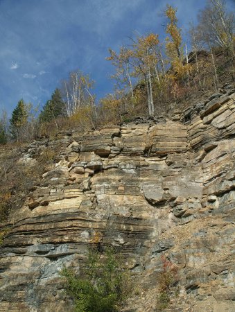 Téléchargez les photos : Un plan vertical d'une grande falaise rocheuse avec des arbres poussant dessus sous le ciel bleu - en image libre de droit