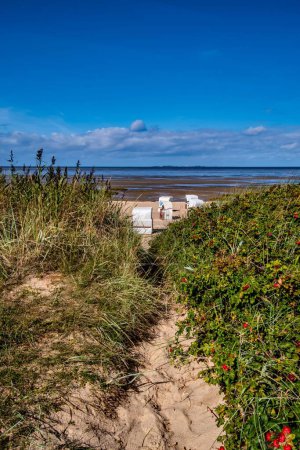 Téléchargez les photos : Plan vertical d'un sentier étroit sur la plage avec de petites cabanes blanches contre un ciel bleu nuageux - en image libre de droit