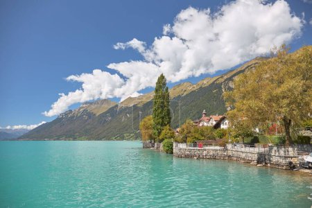Téléchargez les photos : Une belle vue du lac Brienz en Suisse par une journée ensoleillée - en image libre de droit