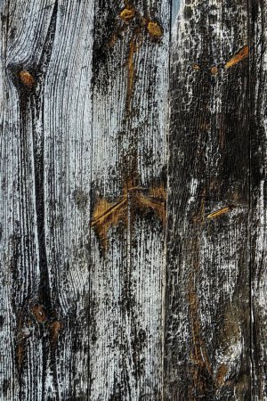 Foto de Un primer plano vertical de una textura de madera vieja grunge - Imagen libre de derechos