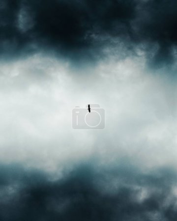 Téléchargez les photos : Un plan vertical d'une silhouette d'oiseau en vol dans un ciel orageux - en image libre de droit