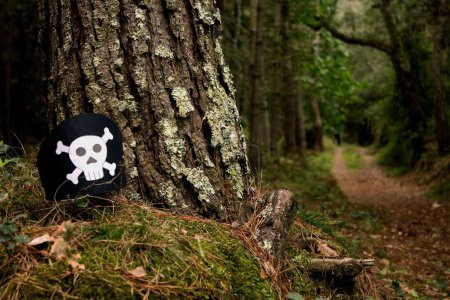 Foto de Un primer plano de un símbolo pirata en un tronco de árbol herboso en un bosque - Imagen libre de derechos