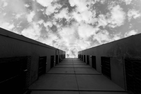 Téléchargez les photos : Plan bas-angle en niveaux de gris d'un immeuble résidentiel sous un ciel nuageux. - en image libre de droit