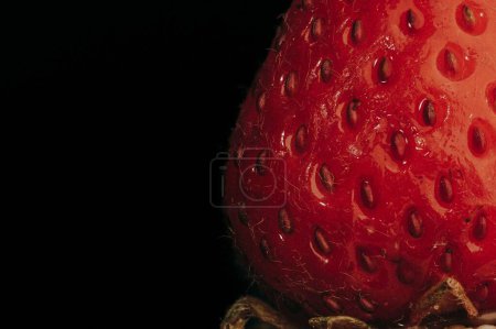 Téléchargez les photos : Une macro photo de détails sur une fraise rouge floue - en image libre de droit