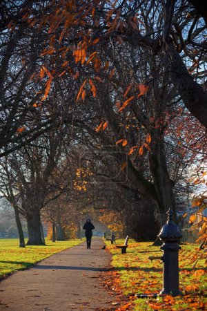 Foto de Foto vertical de un callejón principal en el Parque del Pueblo en Bray, Condado de Wicklow, Irlanda. Un hombre camina hacia la cámara. Día de otoño frío pero soleado. - Imagen libre de derechos