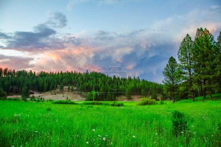 Téléchargez les photos : Vue panoramique d'un champ verdoyant et d'une forêt sous un ciel nuageux au coucher du soleil dans le Montana, États-Unis - en image libre de droit