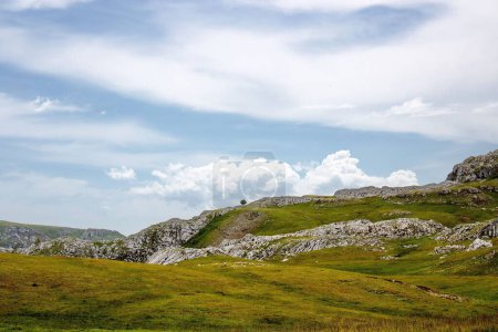 Téléchargez les photos : Un arbre solitaire sur la chaîne de montagnes Visocica contre un ciel nuageux pendant la journée - en image libre de droit