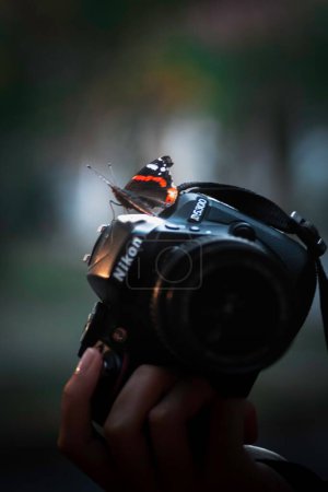 Foto de Un primer plano vertical de una mariposa posada sobre una cámara Nikon sobre un fondo borroso - Imagen libre de derechos