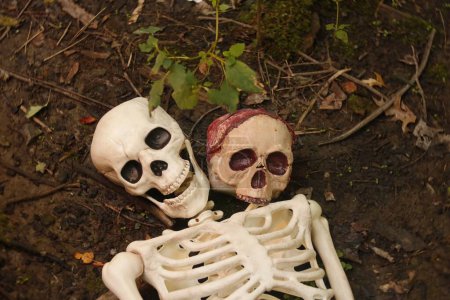 Foto de Los dos esqueletos en el suelo en el bosque - Imagen libre de derechos