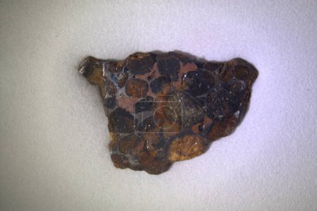 Téléchargez les photos : Pallasite Coupe de météorite en demi-cristaux d'olivine - en image libre de droit