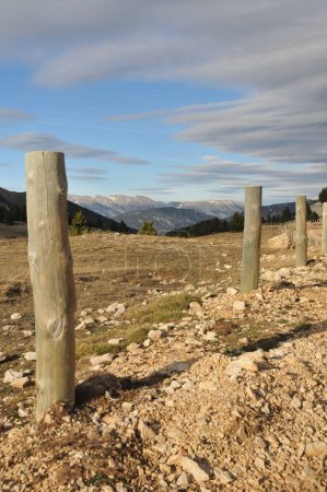 Téléchargez les photos : Un plan vertical de piliers en bois dans un champ contre une chaîne de montagnes sous un ciel bleu nuageux - en image libre de droit