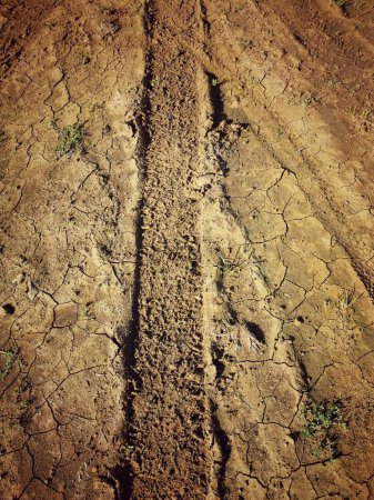 Photo for A vertical shot of a wheel track on the ground - Royalty Free Image