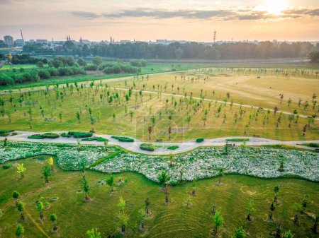 Téléchargez les photos : Une belle vue sur le parc du 800 anniversaire de l'Opole, Pologne - en image libre de droit