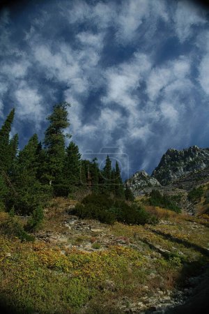 Foto de Una vertical de árboles cultivados en la ladera con grandes montañas rocosas en el fondo bajo el cielo azul - Imagen libre de derechos