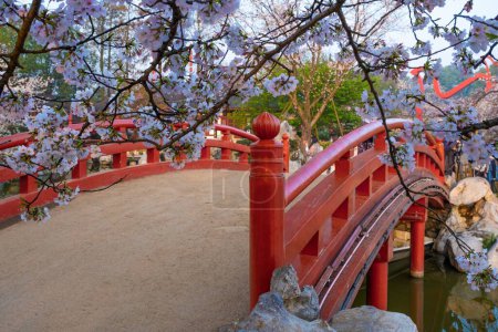 Photo for East Lake Cherry Blossom Park, also called Wuhan Moshan Cherry Blossom Park, is a park in the East Lake area of Wuchang District, Wuhan City, Hubei - Royalty Free Image