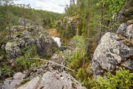 Foto de Una imagen de un bosque lleno de grandes rocas, árboles y un río. - Imagen libre de derechos