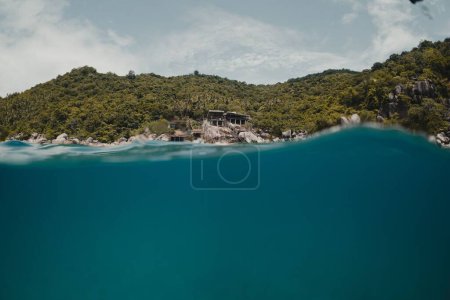 Téléchargez les photos : Une vue aérienne de la mer avec plage entourée d'arbres denses - en image libre de droit