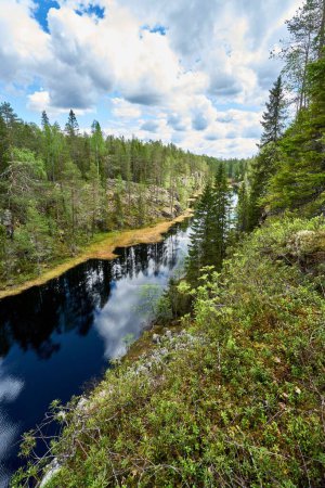 Téléchargez les photos : Une image d'une rivière dans la forêt avec les reflets des arbres sur l'eau. - en image libre de droit