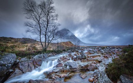 Téléchargez les photos : Une vue panoramique d'une petite cascade dans un parc rocheux avec un arbre sans feuilles près de lui sous le ciel nuageux - en image libre de droit
