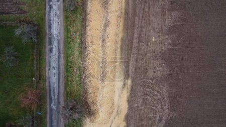 Foto de Una vista aérea de una carretera en medio de un campo agrícola siempreverde en la República Checa - Imagen libre de derechos