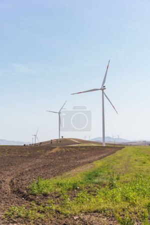 Téléchargez les photos : Une verticale de lames de moulins à vent dans un champ ensoleillé contre un ciel clair, Italie - en image libre de droit