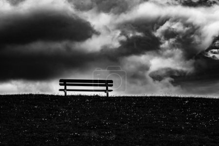 Téléchargez les photos : Une échelle de gris d'un banc en bois dans un parc verdoyant avec un ciel bleu nuageux en arrière-plan - en image libre de droit