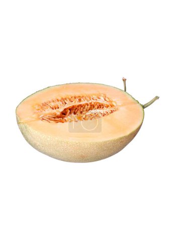Photo for A half of a cantaloupe isolated on white background - Royalty Free Image