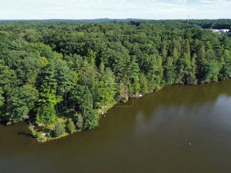Téléchargez les photos : Vue aérienne d'un lac entouré de forêts verdoyantes denses par une journée ensoleillée - en image libre de droit