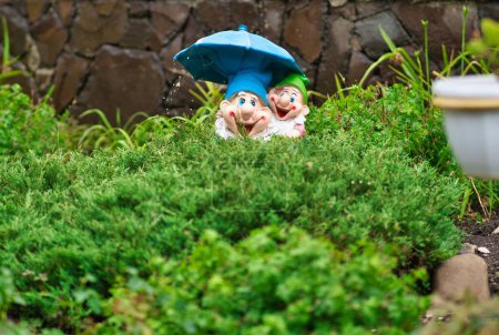 Foto de Un primer plano de dos enanos de jardín colocados junto a las plantas - Imagen libre de derechos
