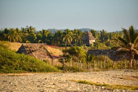 Foto de Las viviendas rurales abandonadas hechas con bambúes y techos de paja rodeados de palmeras - Imagen libre de derechos
