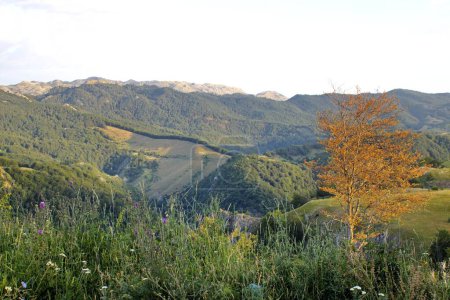Téléchargez les photos : Une belle vue sur le village Sela en Bosnie-Herzégovine - en image libre de droit